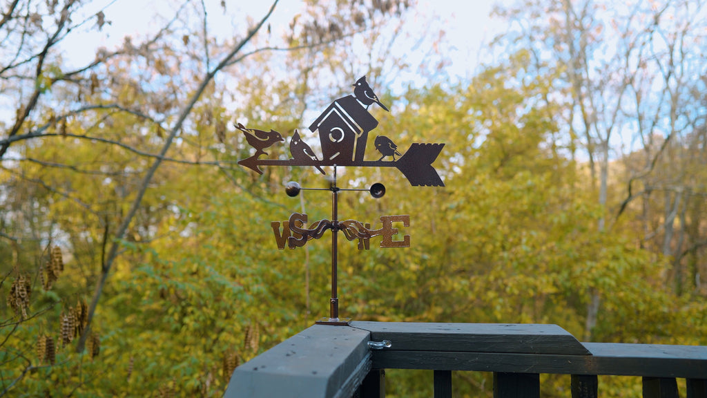 Birdhouse Weathervane