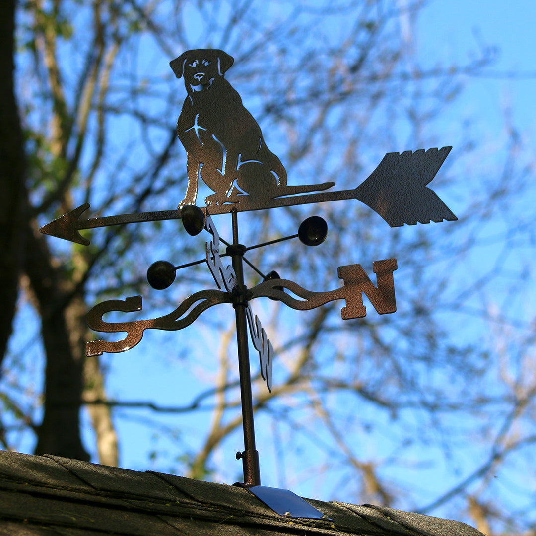 Roof Mount