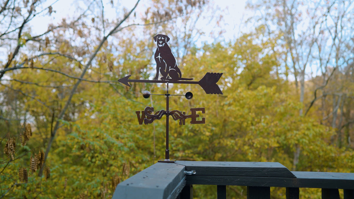 Lab Sitting Weathervane